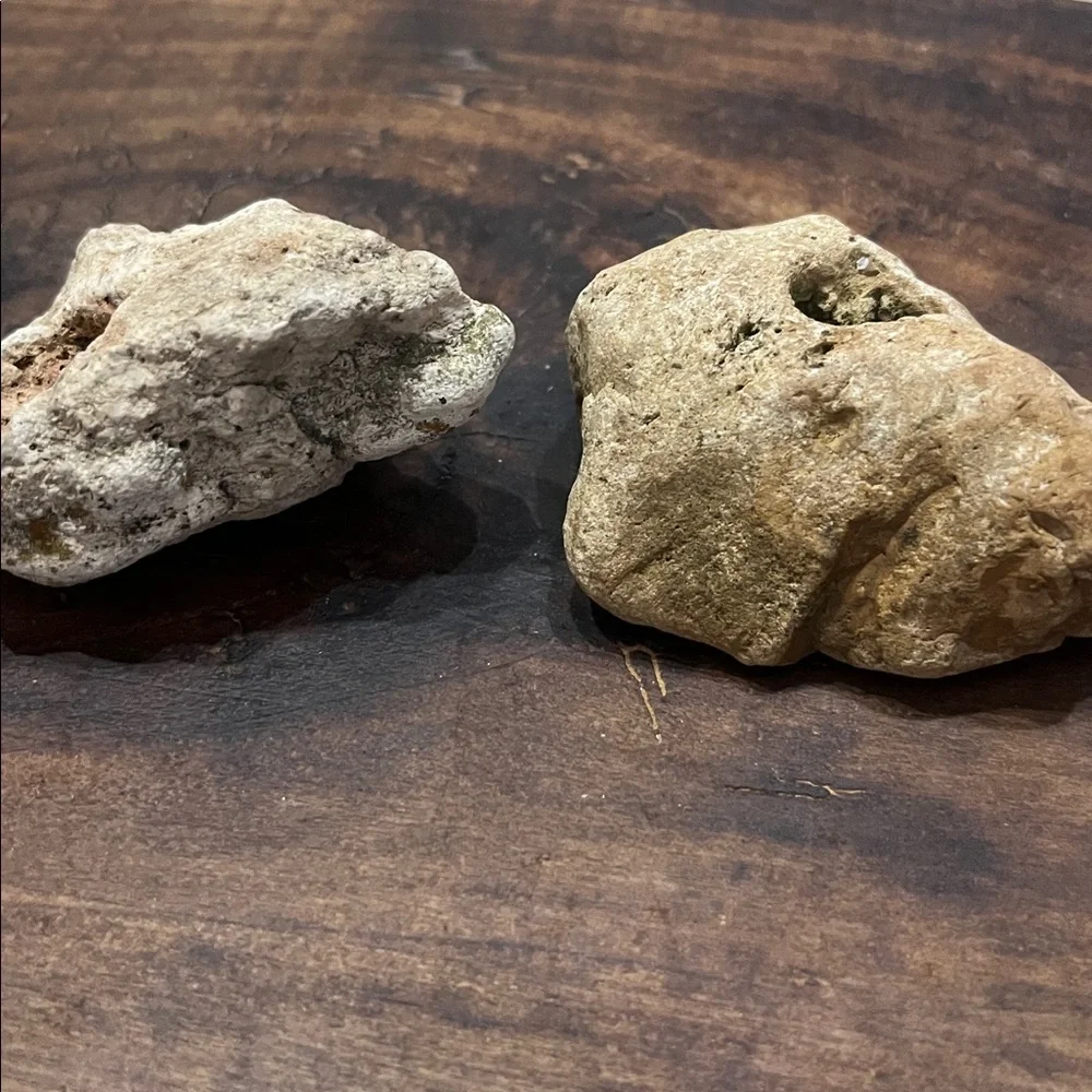 Natural Rock With Holes Found in off grid creek bed Southern TN Set of 2